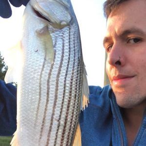 Meet your Posher, Anthony